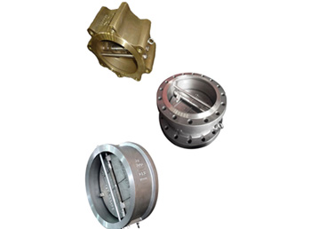 Dual plate check valve